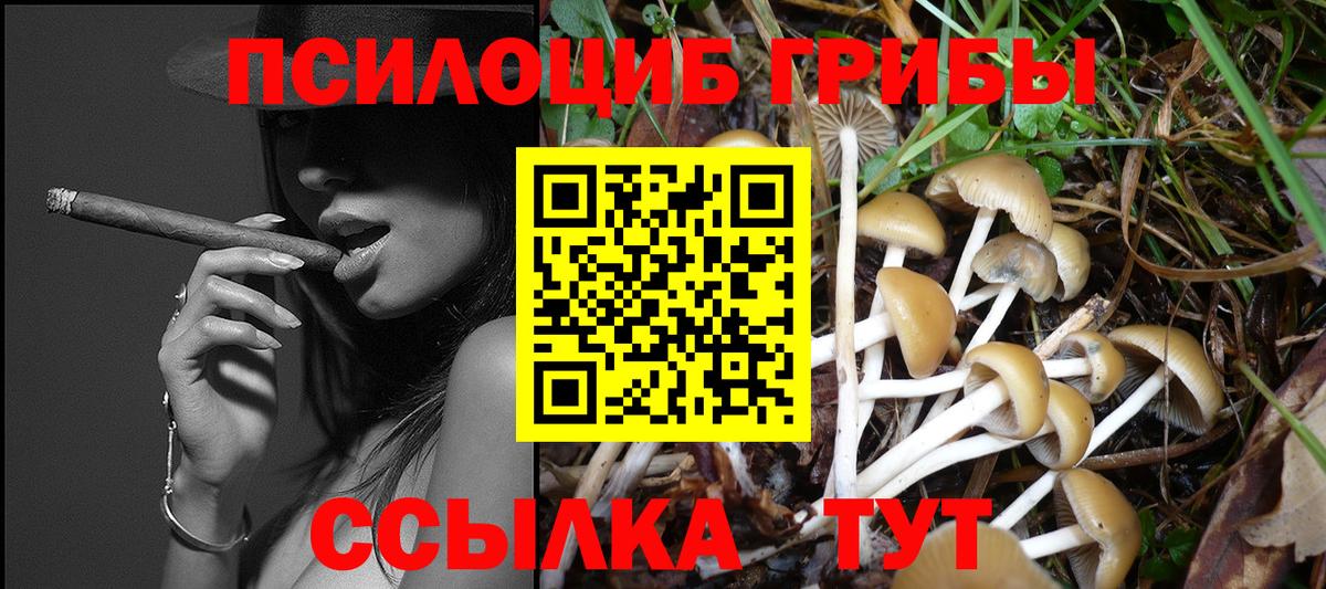 Галлюциногенные грибы MAGIC MUSHROOMS Нижневартовск
