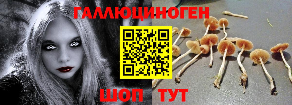 Галлюциногенные грибы ЛСД  Вход с VPN  Псилоцибиновые грибы прущие грибы  Нижневартовск 